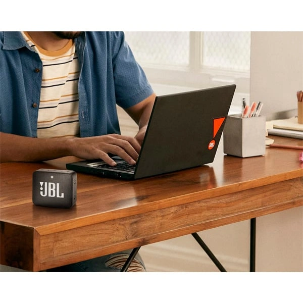 JBL GO2 Portable Bluetooth Speaker with Mic - Cinnamon - Cinnamon