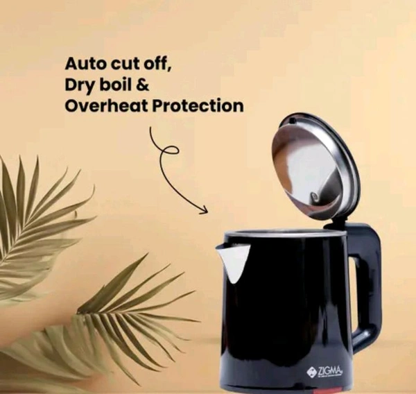 Stainless Steel Electric Kettle  - Free