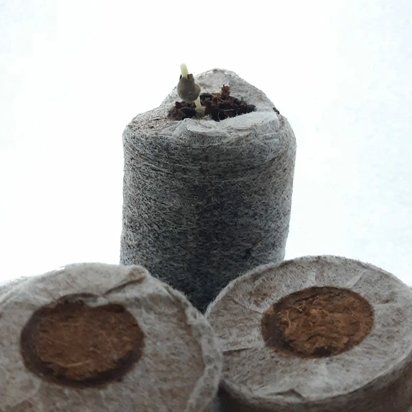 GERMINATION TAB