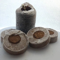 GERMINATION TAB
