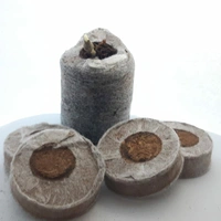 GERMINATION TAB