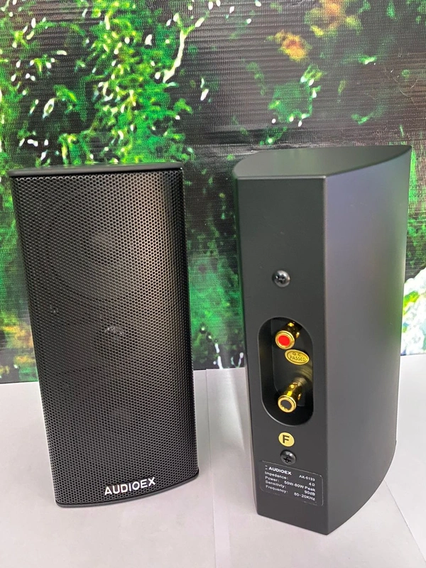 Audioex 5 Channel Speakers 