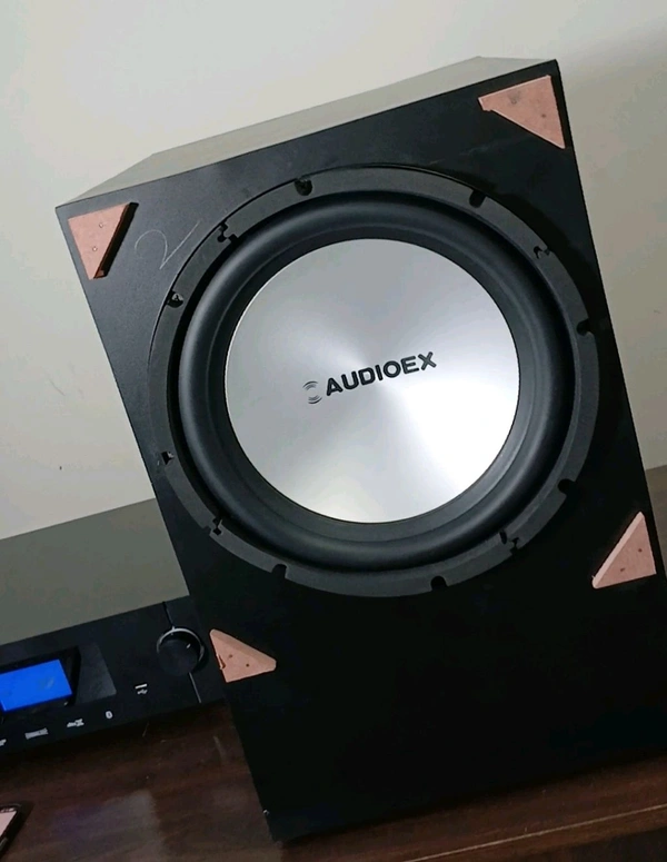 AUDIOEX  Audioex 12" Subwoofer 