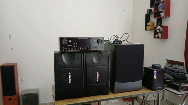 AUDIOEX  Audioex 12" Subwoofer 