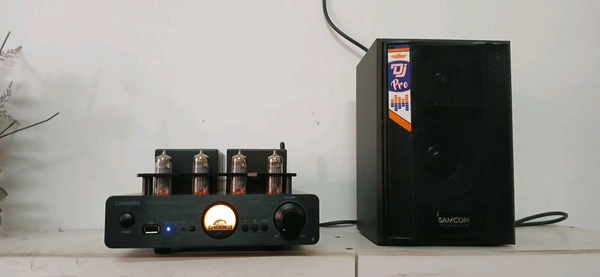 Audioex  HiFi Vacuum Tube Amplifier 80+80w
