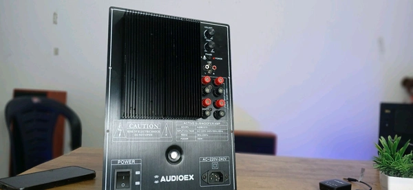 AUDIOEX Sub Amplifier Plate 