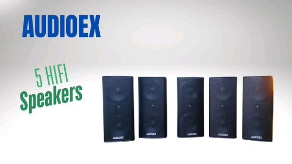 Audioex Hifi 5 Speaker Box 