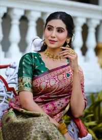 DHRUVIL TEXTILES Self Design Banarasi Cotton Silk, Organza Saree (Multicolor)