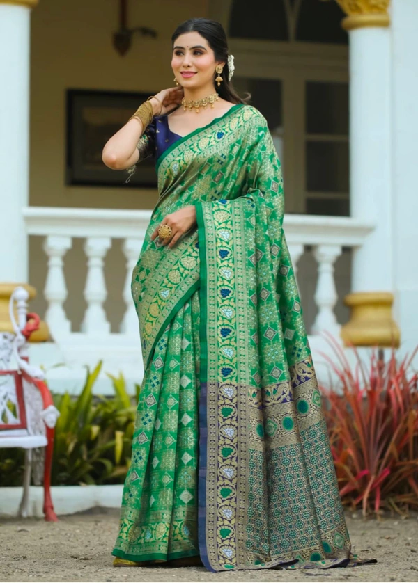 DHRUVIL TEXTILES Self Design Banarasi Cotton Silk, Organza Saree (Green)