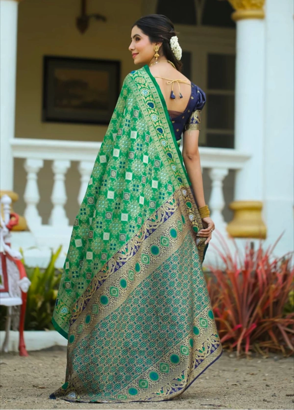 DHRUVIL TEXTILES Self Design Banarasi Cotton Silk, Organza Saree (Green)