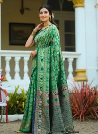 DHRUVIL TEXTILES Self Design Banarasi Cotton Silk, Organza Saree (Green)