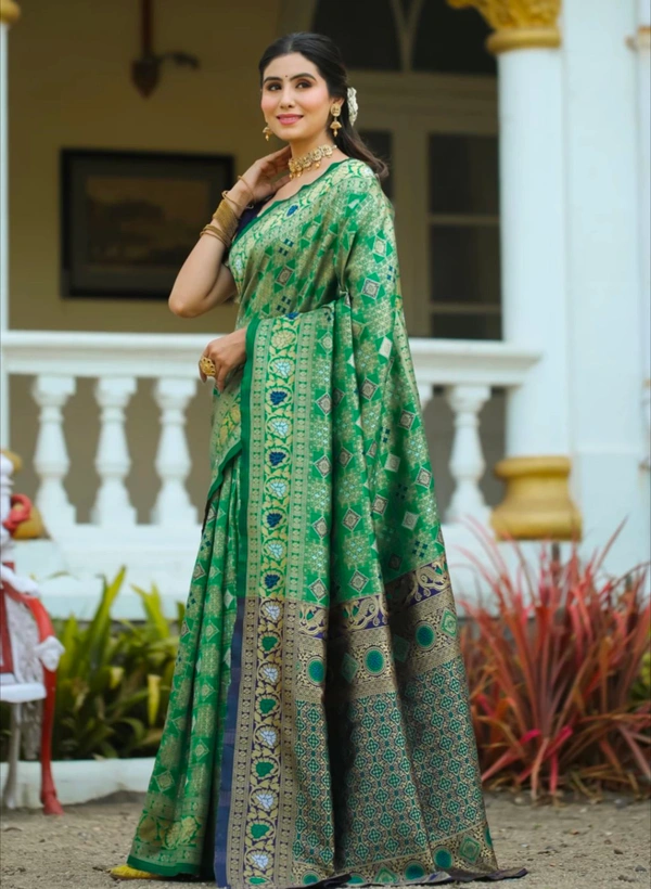 DHRUVIL TEXTILES Self Design Banarasi Cotton Silk, Organza Saree (Green)