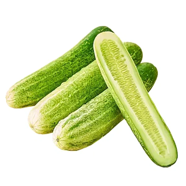 Cucumber (Loose), 500 g - 1 kg