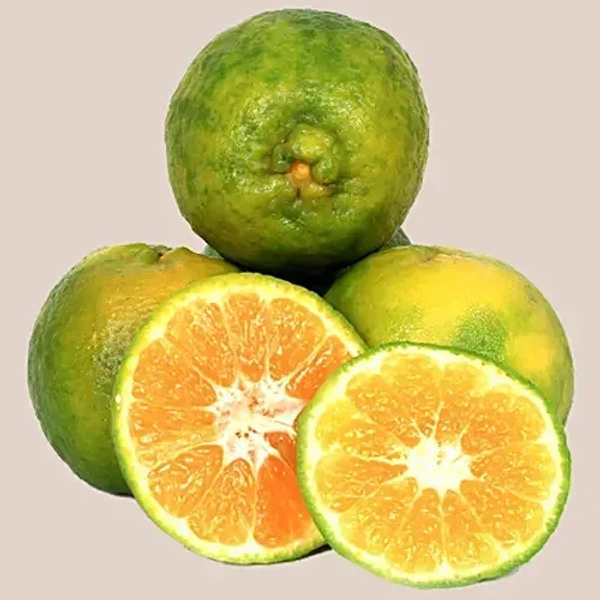 Orange - Nagpur, Regular (Loose), 1 kg - 1 kg