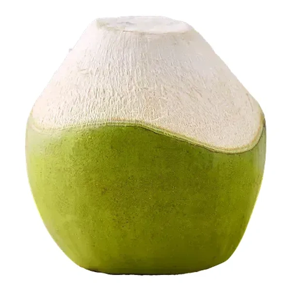 Tender Coconut-1 pc - 1 pcs
