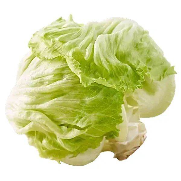 Lettuce - Iceberg, 1 pc (Approx. 250g-500g) - 1 pc