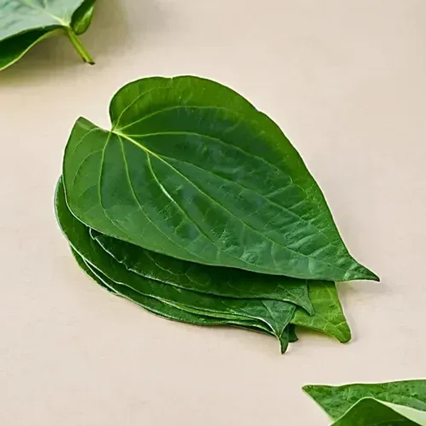 Betel Leaf (पान का पत्ता), 5 pcs - 5 pcs