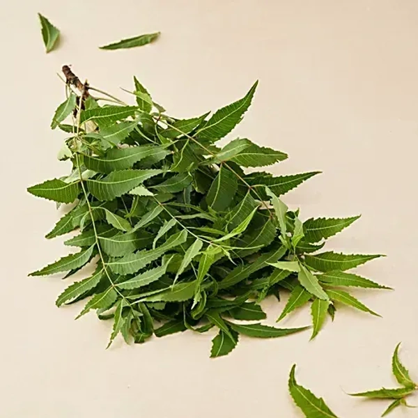 Neem Leaves - Organically Grown, 50 g - 50 gm