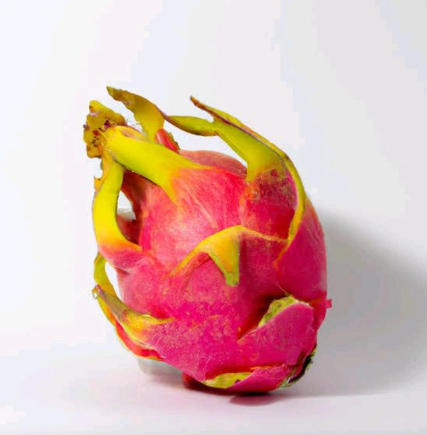 Dragon Fruit [1pc]