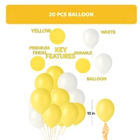 KIWI PARTY  BIRTHDAY COMBO (1 STAR+ 1 CURTAIN+ 20 PCS BALLOON)