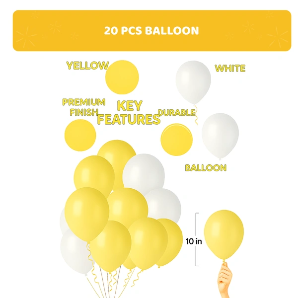 KIWI PARTY  BIRTHDAY COMBO (1 STAR+ 1 CURTAIN+ 20 PCS BALLOON)