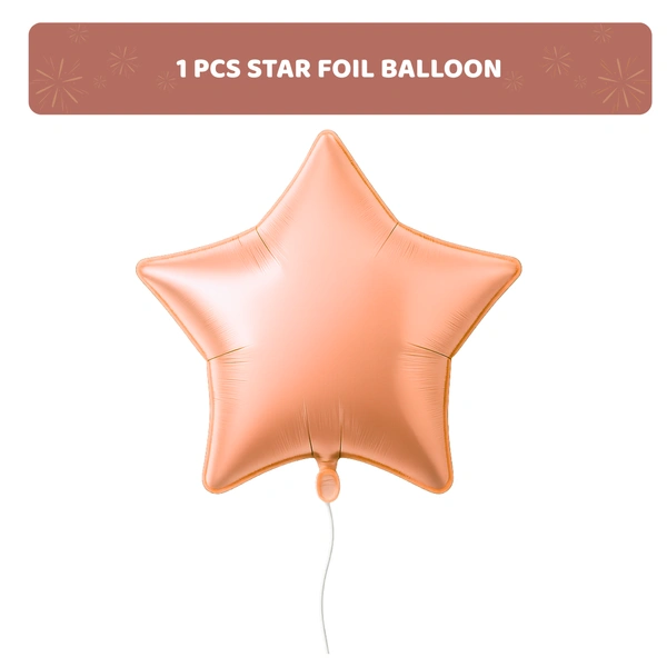 KIWI PARTY  BIRTHDAY COMBO (1 STAR+ 1 CURTAIN+ 20 PCS BALLOON)