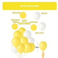 Birthday Decoration Kit Wholesale – Curtains, Balloons, Banners | Direct Manufacturer