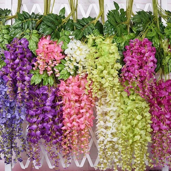 WISTERIA