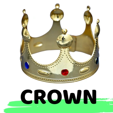 BIRTHDAY CROWN