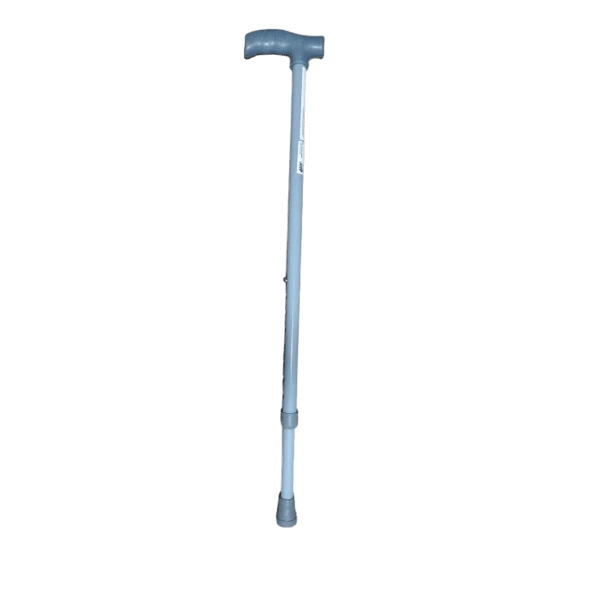 WAKING STICK - 1PIC