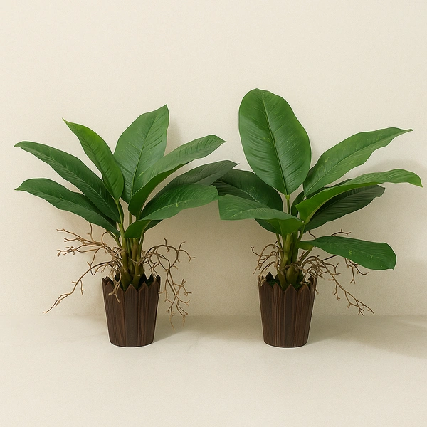 Natural Looking Real Touch Artificial Plant with Pot for Indoor, Home, Office, Living Room Decor - Flat Leaves