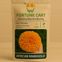 Marigold Pre-Mahotsav Pack – Grow Festive Marigolds at Home Before Prices Spike