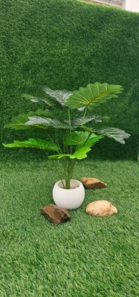 Indian Aesthetica Artificial Monstera plant, also known as a Swiss Cheese Plant