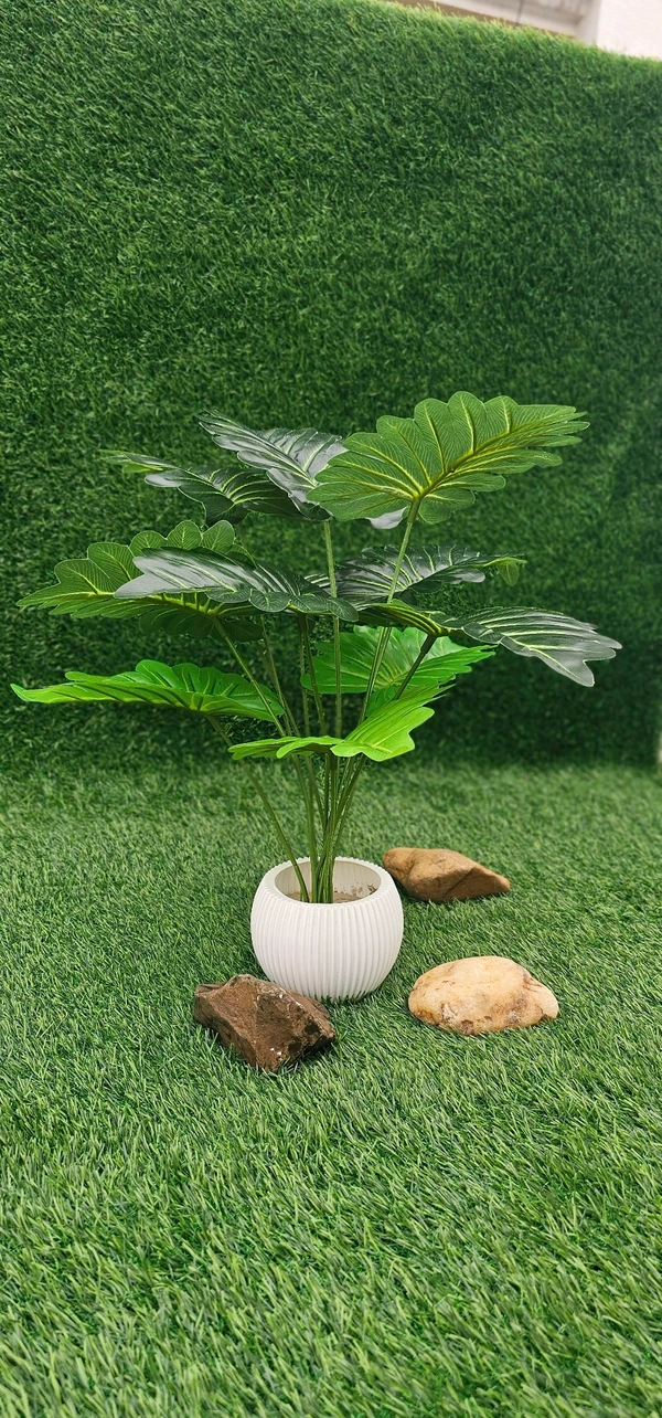 Indian Aesthetica Artificial Monstera plant, also known as a Swiss Cheese Plant