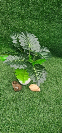 Indian Aesthetica Artificial Monstera plant, also known as a Swiss Cheese Plant