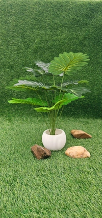 Indian Aesthetica Artificial Monstera plant, also known as a Swiss Cheese Plant