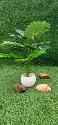 Indian Aesthetica Artificial Monstera plant, also known as a Swiss Cheese Plant