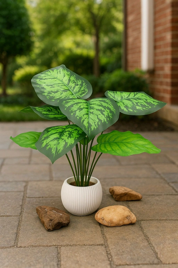Indian Aesthetica Artificial Dieffenbachia Decorative Plant – With Ceramic Pot