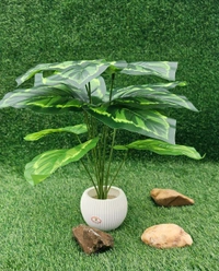 Indian Aesthetica Artificial Dieffenbachia Decorative Plant – With Ceramic Pot