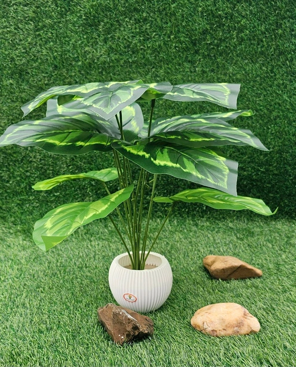 Indian Aesthetica Artificial Dieffenbachia Decorative Plant – With Ceramic Pot