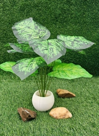 Indian Aesthetica Artificial Dieffenbachia Decorative Plant – With Ceramic Pot