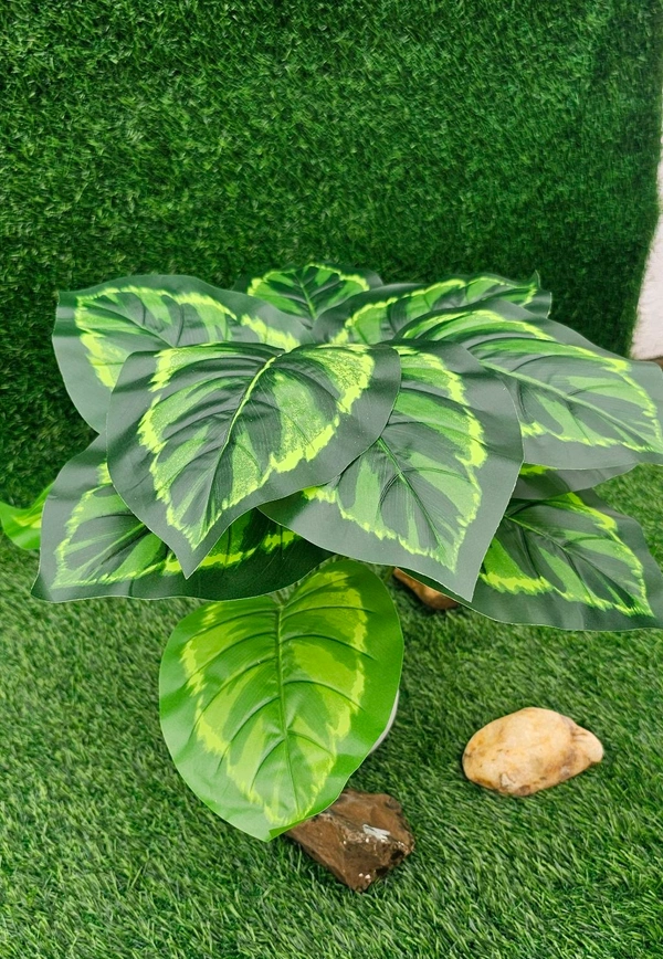 Indian Aesthetica Artificial Dieffenbachia Decorative Plant – With Ceramic Pot