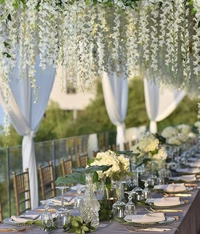 Indian Aesthetica Artificial Wisteria Vine – Fake Wisteria White Hanging Garland | Silk Long Hanging Flowers String for Home, Party & Wedding Décor - (Pack of 12, 43.5 Inches Each) - White, 43.5 Inches (110 cm)
