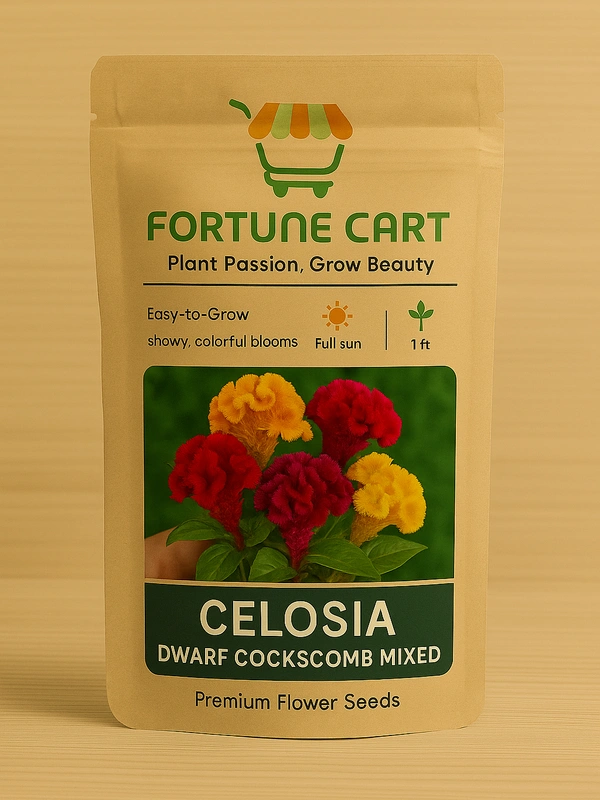 Fortune Cart Celosia Dwarf Cockscomb Mixed