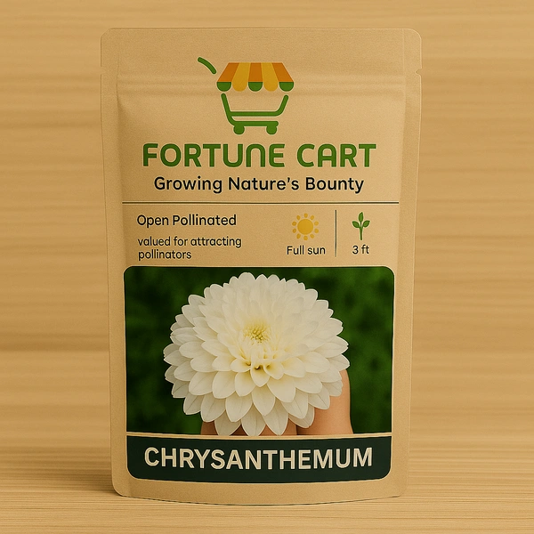 Fortune Cart White Chrysanthemum Flower Seeds