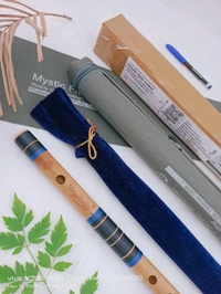 C Sharp Medium Flute 