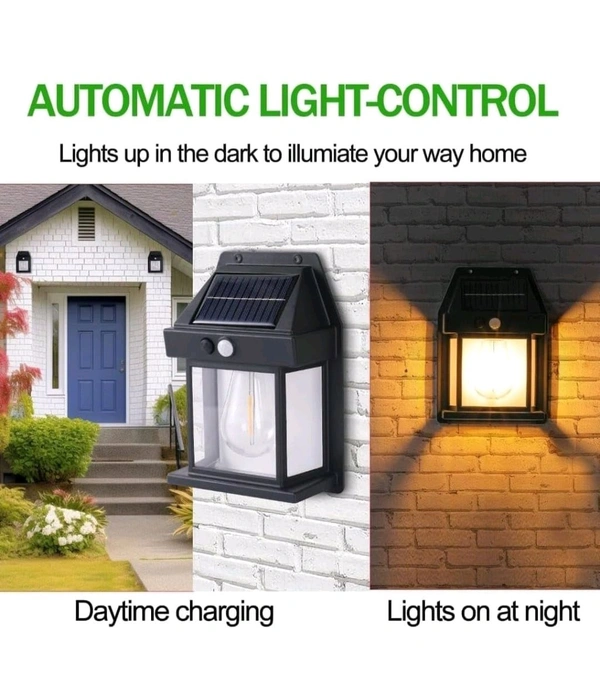Solar Lights - Black, 8 Inges