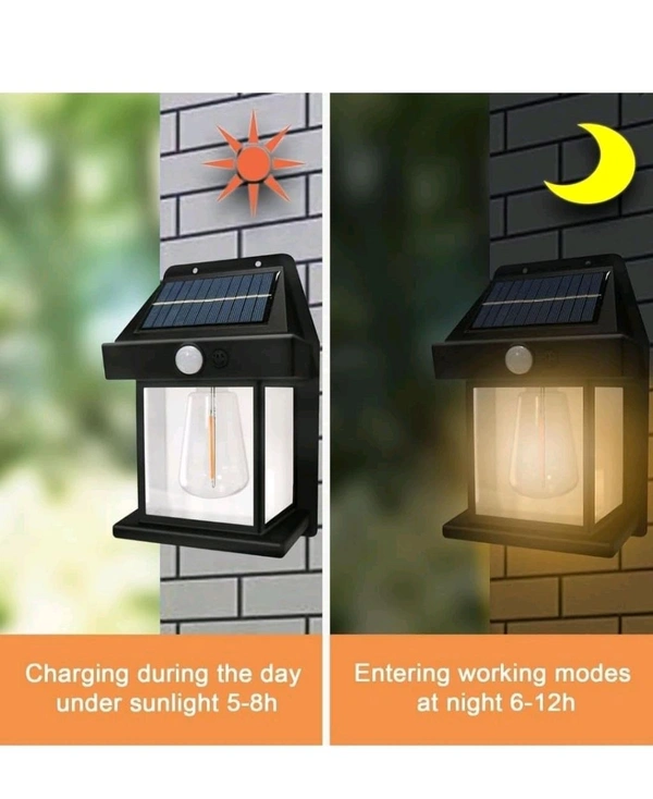 Solar Lights - Black, 8 Inges