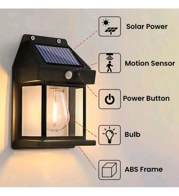 Solar Lights - Black, 8 Inges