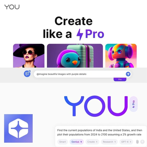 YOU.COM PRO | 12 MONTHS